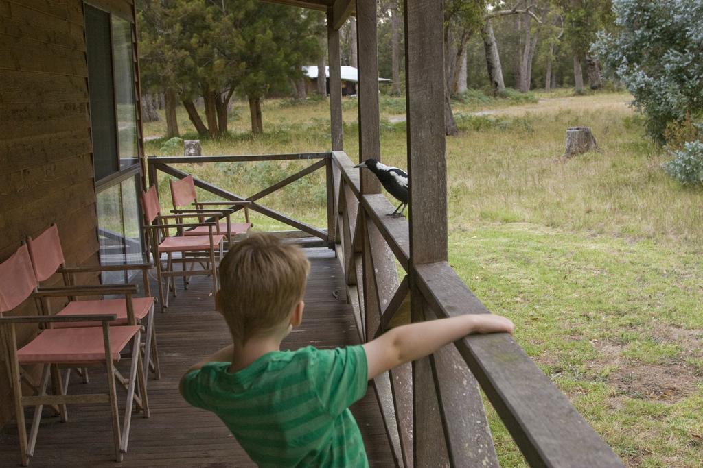 Che Sara Sara Chalets Walpole Ruang foto