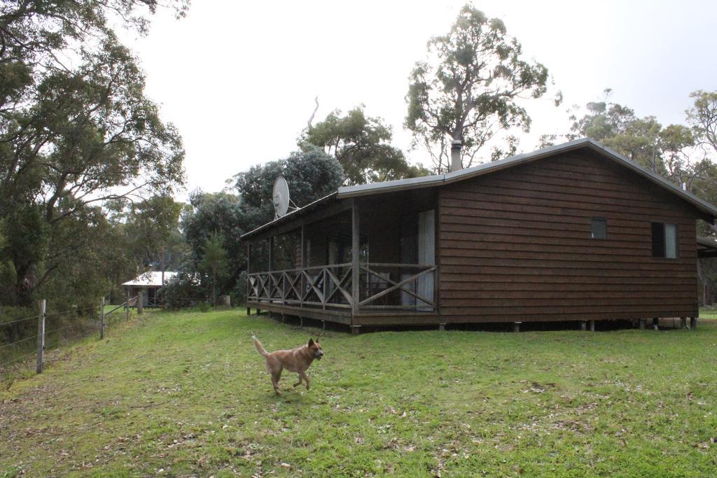 Che Sara Sara Chalets Walpole Ruang foto