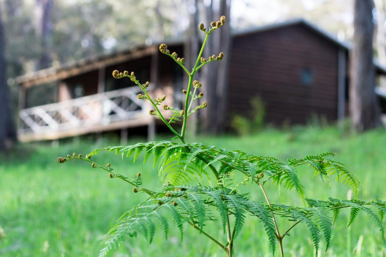 Che Sara Sara Chalets Walpole Bagian luar foto
